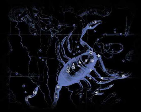 天蝎座死心了还能挽回吗 伤了天蝎座的心怎么挽回