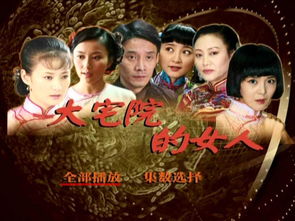 大宅院的女人45集电视剧 大宅院女人的在线观看