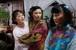 大宅院的女人文君生了嘛 大宅院文君怀的是谁的