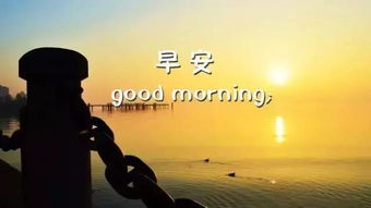 勤劳的女人最美丽句子 幽默夸人勤劳的句子