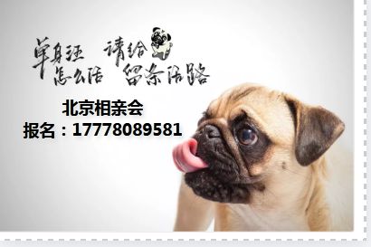 北京大龄青年相亲群 北京大龄青年征婚最新信息