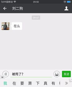 前任没事总撩我免费阅读 听说你想撩弯我全文阅读