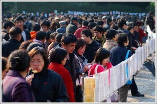 北京朝阳公园相亲角时间地点 中山公园相亲几点开始