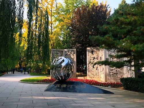 北京朝阳公园相亲角 北京菖蒲河公园老人相亲