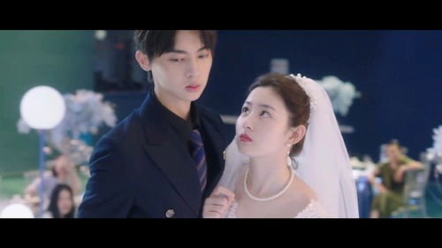 别惹我的前女友电视剧剧情 别惹前女友分集剧情