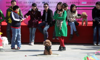 南京相亲平台 南京大型相亲活动近期