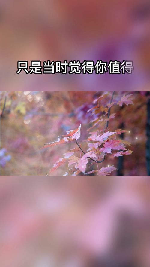 句句走心的情感语录男生 最走心的情感经典句子