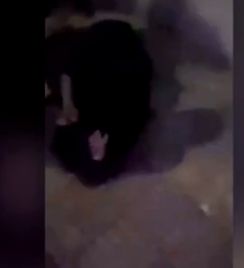 原配与小三的电视剧有哪些 为了小三打原配的电视剧