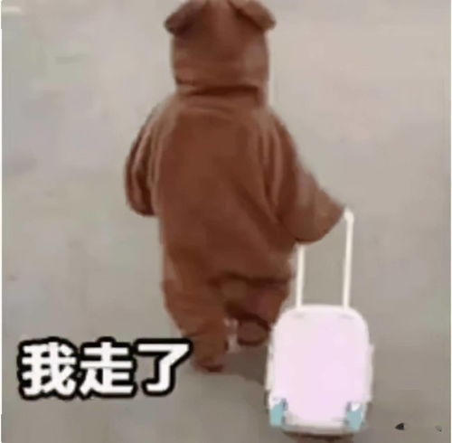 卢俊宇第一任老婆 卢俊宇妻子首次曝光