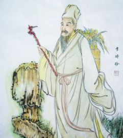 华佗一生娶几个老婆 李时珍和华佗哪个厉害