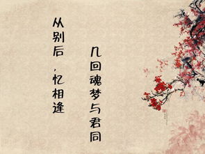 古代情诗名句表白 表白情诗短句 最美