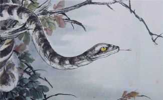 千万别嫁属蛇的男人 属蛇男喜欢的女人外形