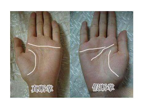 千万别娶断掌的女人 断掌的女人很可怕