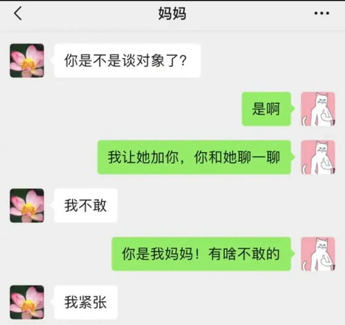 啧啧啧怎么回复女生 怎么回应老是发出啧的人
