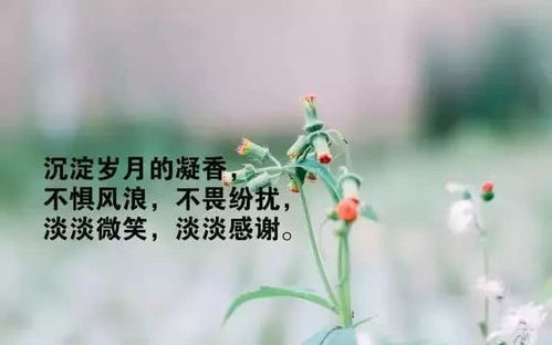 善待妻子的经典感悟 做好妻子经典句子