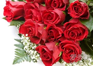 告白情话给女朋友感动 感动女朋友的表白句子