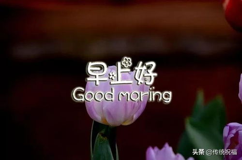 向女朋友说早安的问候语 早上怎样问候情人