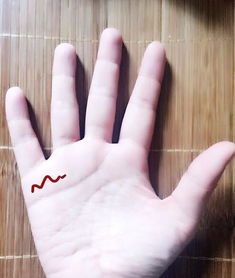四条婚姻线哪个是真的 四条婚姻线幸福吗