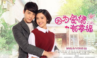 因为爱情有幸福免费版 爱情到幸福电视剧免费观看完整版