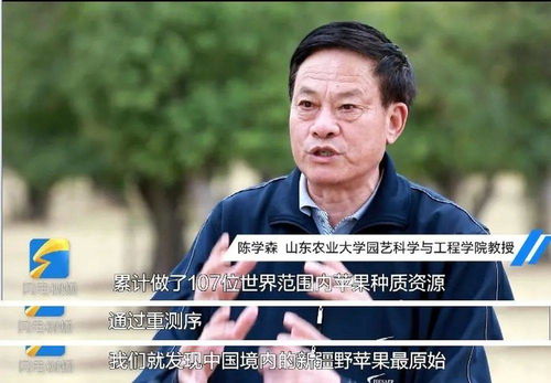 国岳集团岳彬老婆来历 国岳集团岳彬怎么起家