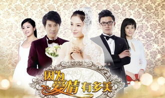 因为爱情有多美第二部 因为爱情有多美文馨重生小说