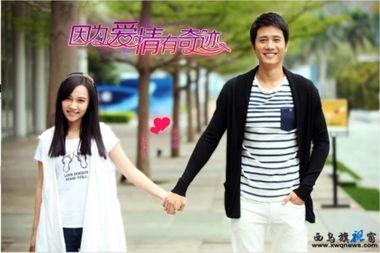 因为爱情有奇缘2 因为爱情有奇迹DVD版82