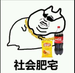 国家终于给我分配对象了 分配对象后,我抽中了大佬