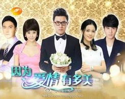 因为爱情有多美 爱情有多美电影全集观看