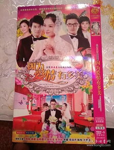 因为爱情有多美第5集 因为爱情有多美DVD版