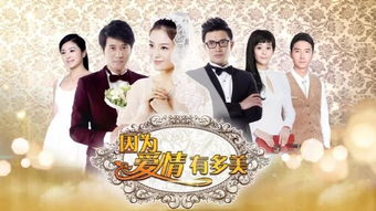 因为爱情有多美三个人的错的歌词 爱情有多美插曲有哪些