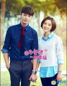 因为爱情有幸福免费观看70集 因为爱情有幸福第1部