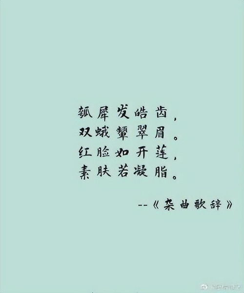 夸一群女人漂亮的诗句 比喻美女成群的句子