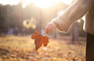 失望透顶的人还能挽回吗 太作了伤透男友心能挽回吗