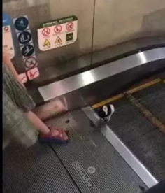 坐电梯男生喜欢你的表现 男生主动给你按电梯代表什么