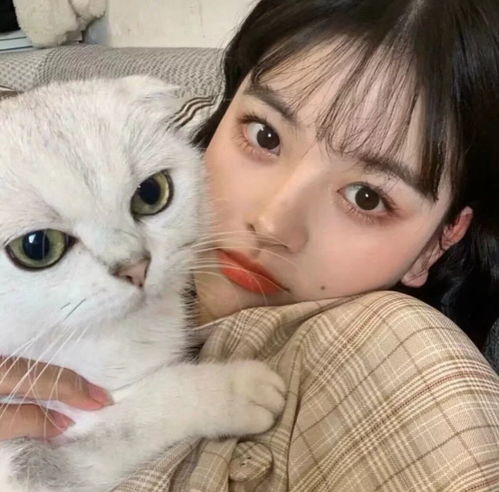 失恋的女生突然把头像换成猫 女生突然换了抱猫的微信头像