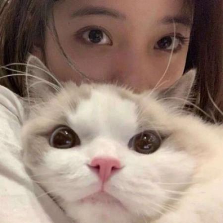 头像女生抱着猫暗示单身吗 女头像是猫说明单身