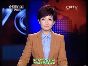 央视王端端老公简历 央视王端端最近情况