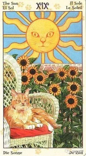 太阳牌正位爱情 太阳正位感情未来发展