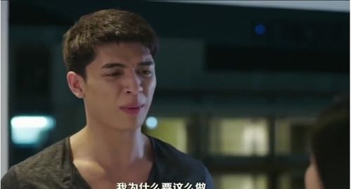 女主离婚后悔了想追回男主 男主绝望死心女主后悔的小说