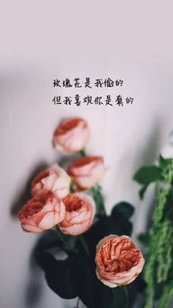 女人一生精辟的句子 女人经典人生感悟短语