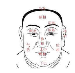 夸男人面相好有财气的句子 说人面相大富大贵句子