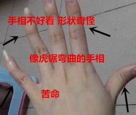 女人3大苦命手相 上等旺夫的女人手相