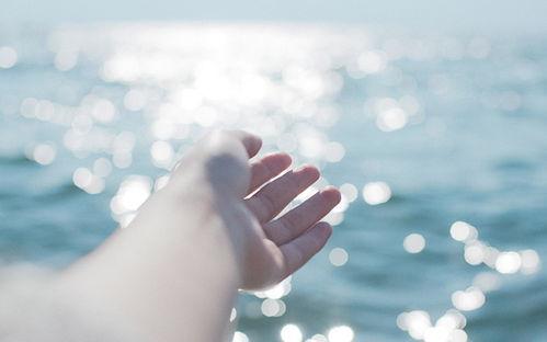 女人一生扮演的5种角色短句 总结女人一生的句子