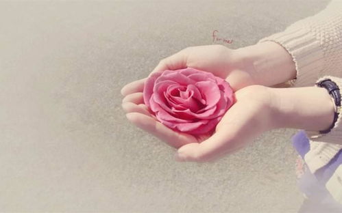 女人一旦死心了 怎么挽留女人