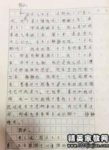 夸女朋友300字作文 夸夸女生作文 精彩段落