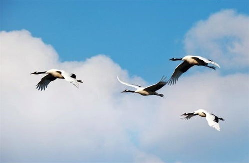 夸男人有酒量的句子 形容人酒量好的俏皮话