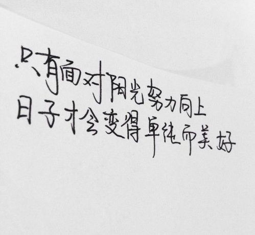 夸男人努力的句子简短 赞美努力拼搏的人的句子