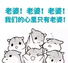 夸老婆的100句话 夸老婆100字不重复