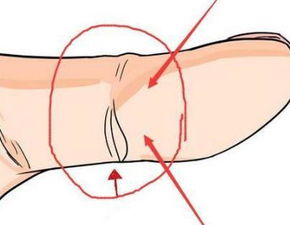 女人中年后发财的手相 中年以后才爆发的手相