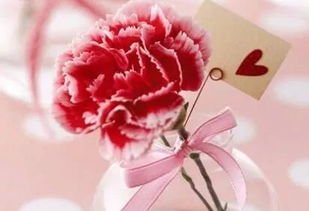 女人五十一朵花下一句 女人40一朵花的顺口溜